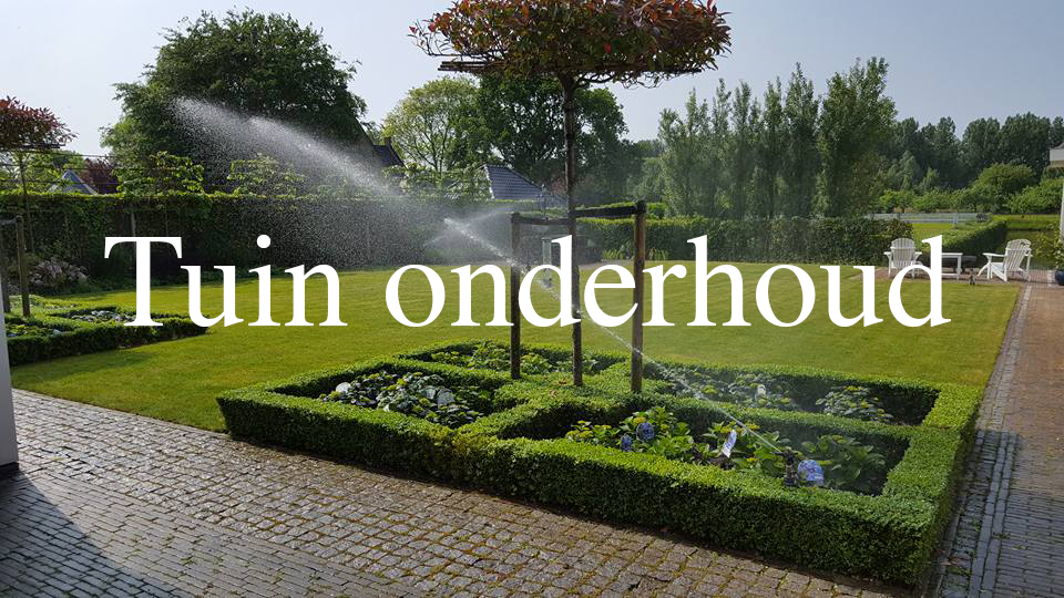 Tuin onderhoud Hovenier Koppenol Denhaag Westland